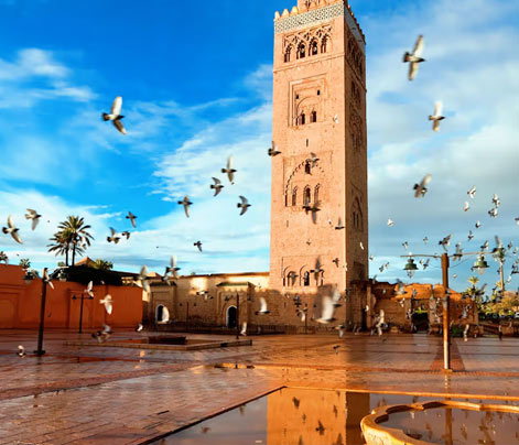 11 Days Imperial Cities & Desert Grand Tour from Casablanca